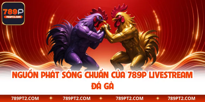 Nguồn phát sóng chuẩn của 789P livestream đá gà